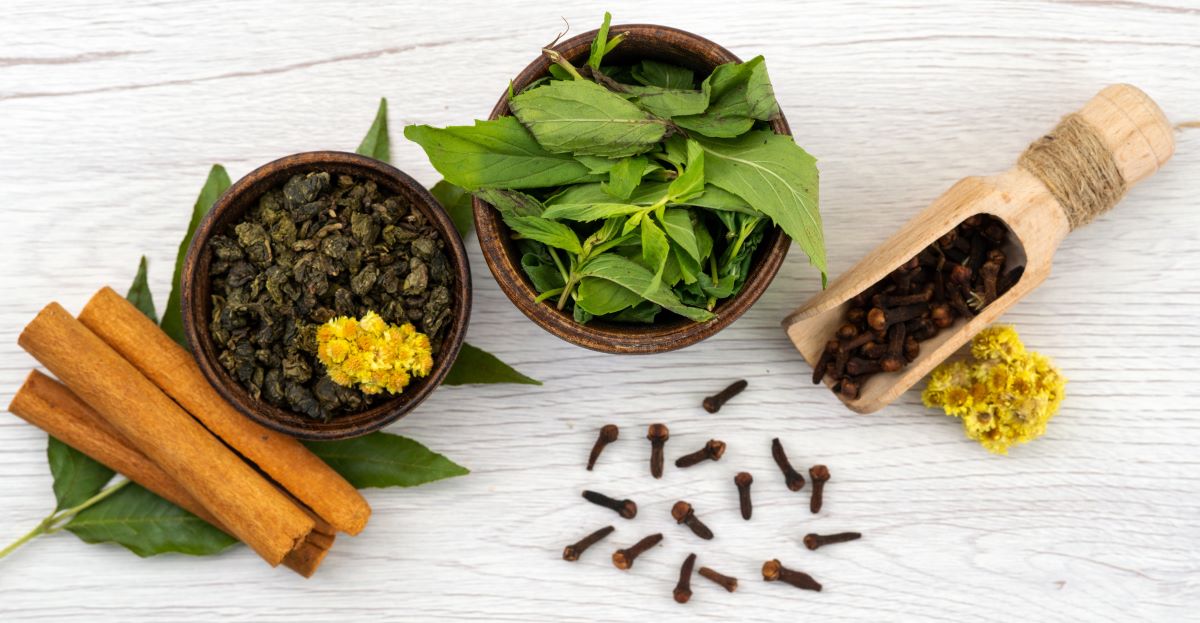 Nature's Pharmacy Naturopathy Courses and the Science of Healing Plants